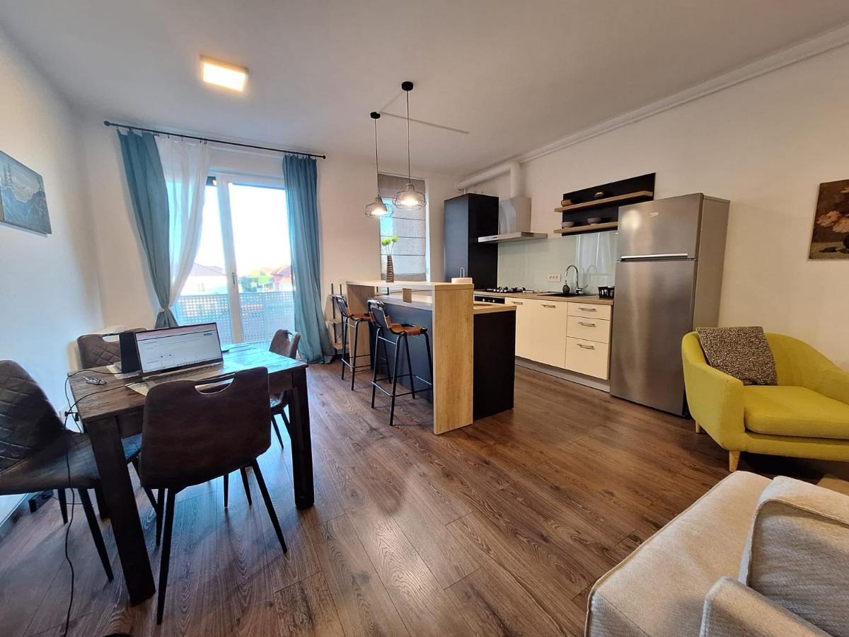 Mirvana Apartments Metheor Executive Suite Timişoara Buitenkant foto